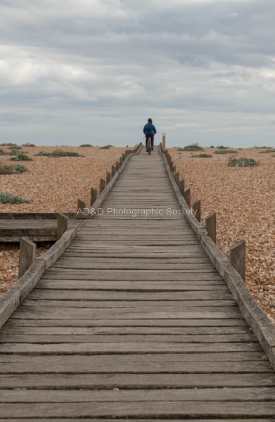 Dungeness boardwalk, by Elaine Argent