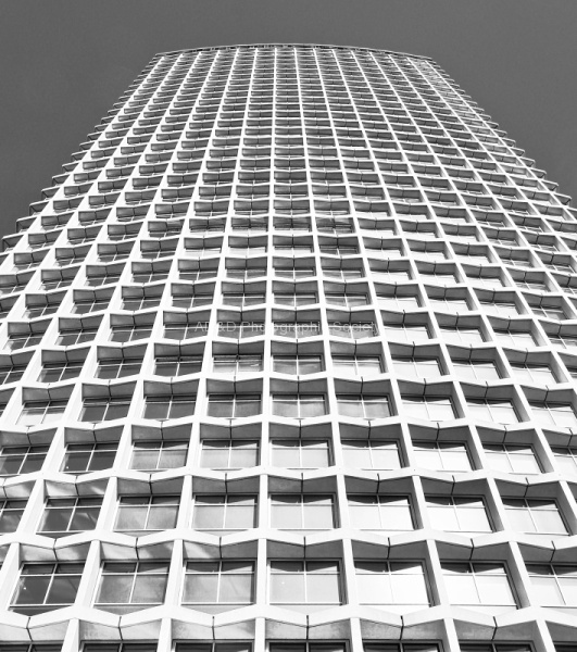 High Rise, by Maureen Tyrrell