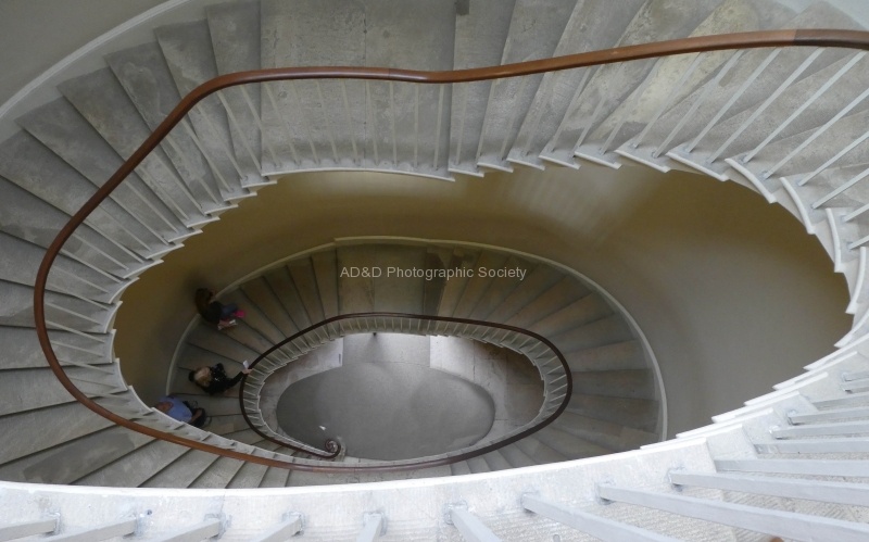 staircase up or down, by Miggy Wild