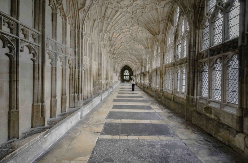 The Cloister, by Khatija Barday-Wood