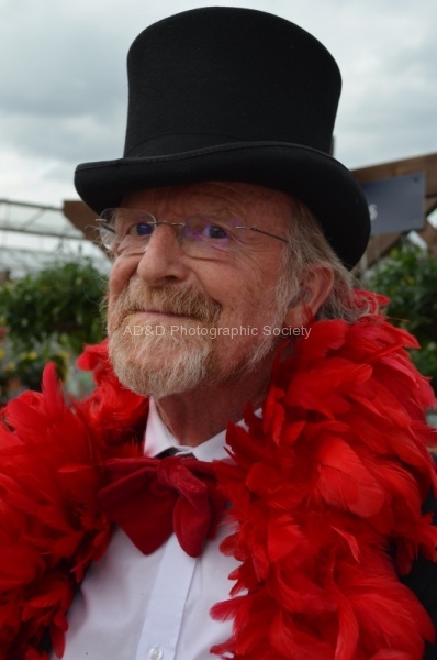 Morris Fool, by Maureen Robinson