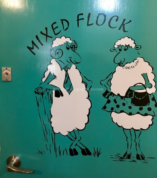 Baaa - Maureen Robinson