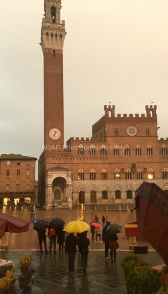 Soaked in Siena - Maureen Robinson