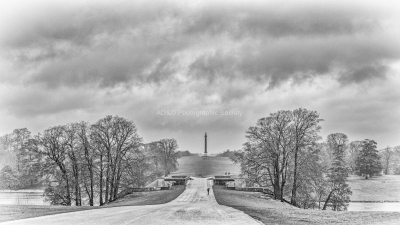 Blenheim, by John Cavana