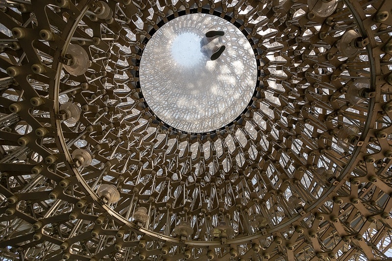 The Hive, by Khatija Barday-Wood