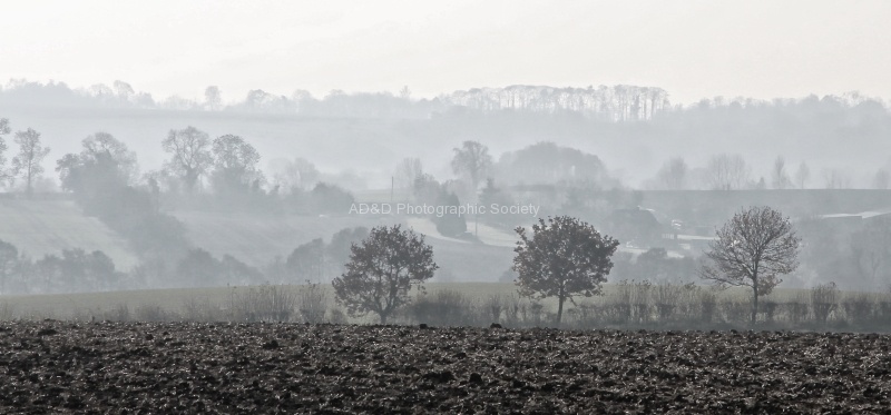 Misty Morning, by Maureen Tyrrell