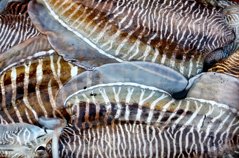 Patterns 1, by Andreas Klatt