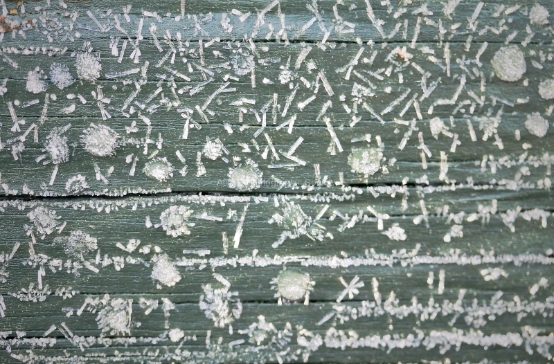 Icy Fence, by Maureen Tyrrell