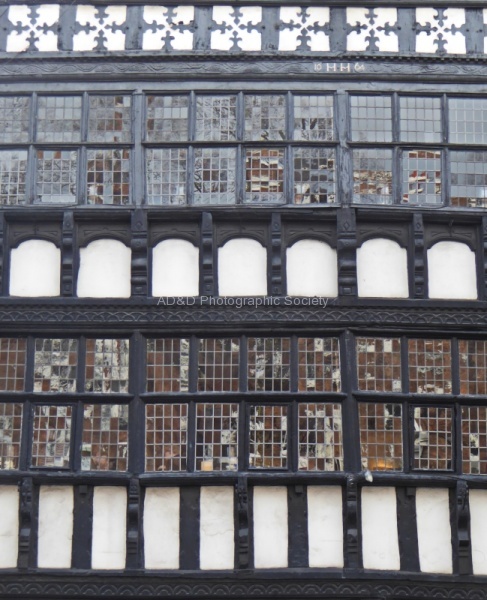 Pattern, by Janet Broadbent