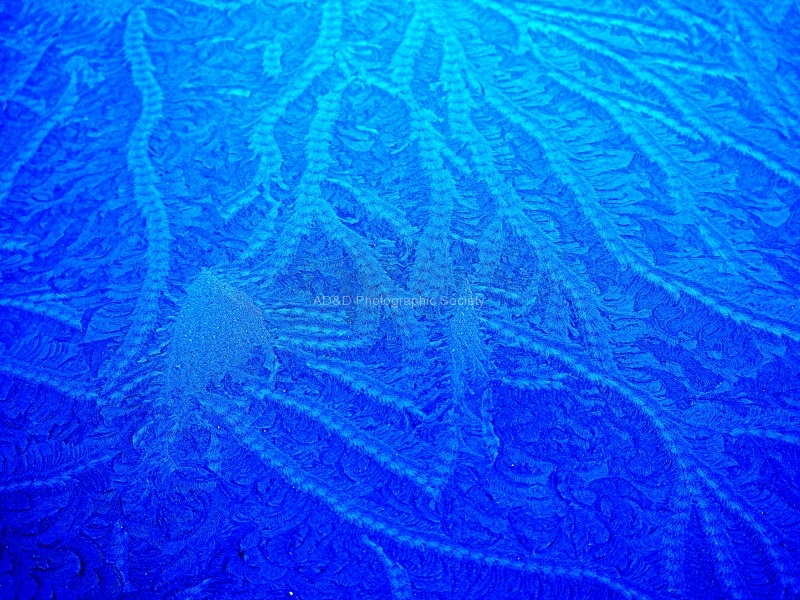 Pattern, by John Prentice
