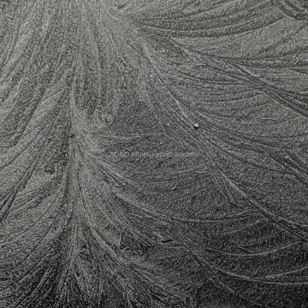 Ice Pattern, by Miggy Wild