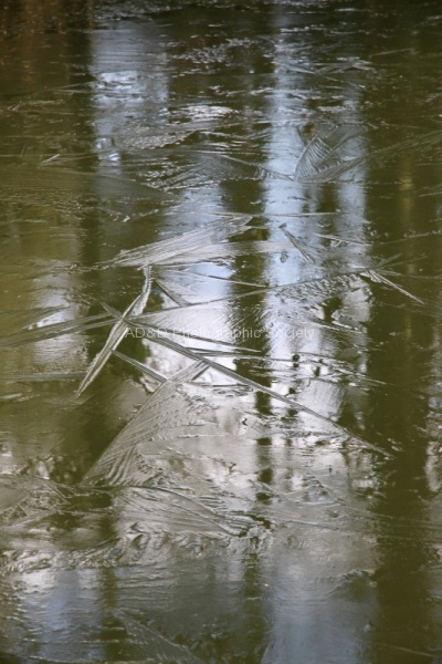 Icy Lake, by Maureen Tyrrell