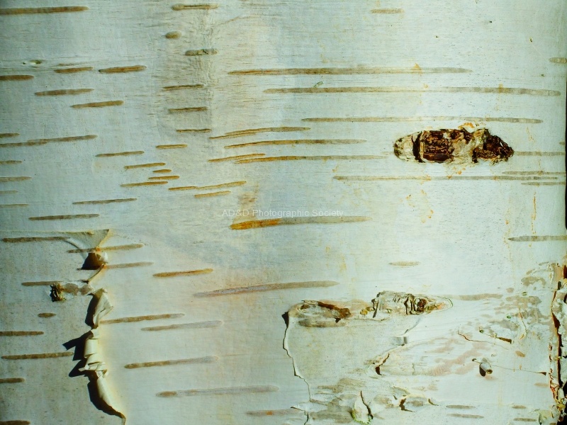 Patterns-2, by John Powell