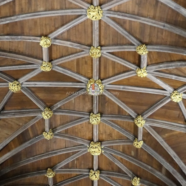 Patterns 2, by Richard Broadbent