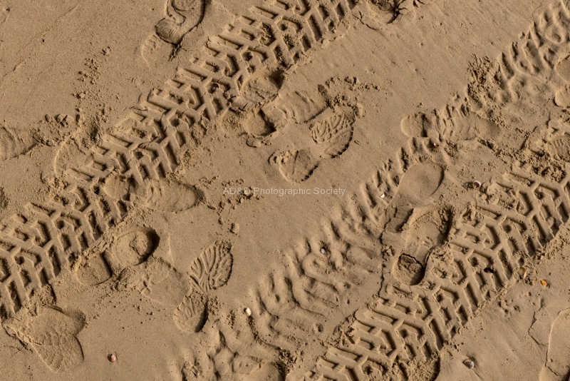 Treads, by Roy Dickson