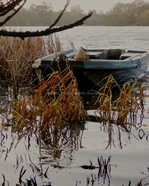 Blenheim boat, by Miggy Wild