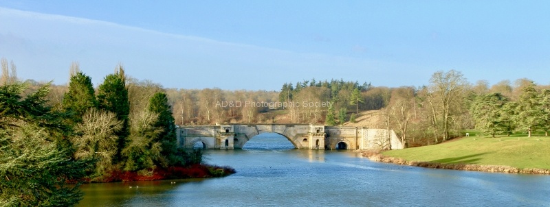 Blenheim, by Maureen Tyrrell