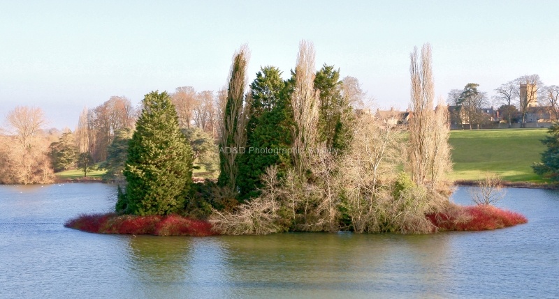 Blenheim, by Maureen Tyrrell
