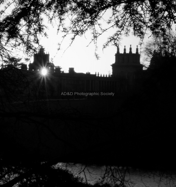 Blenheim, by Maureen Tyrrell