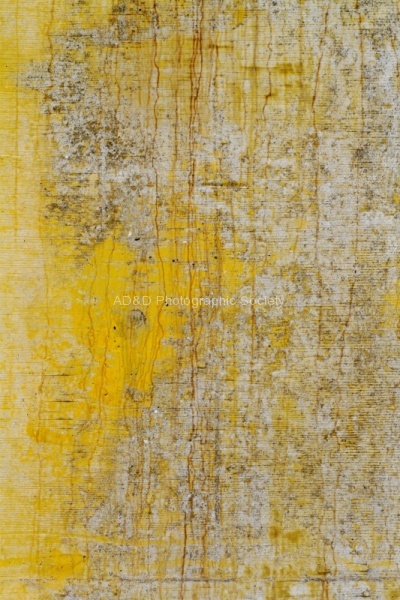 Abstract Yellow, by Miggy Wild