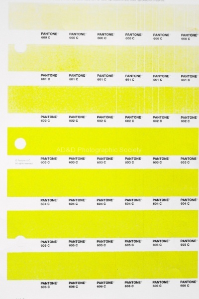 Yellow-3, by John Powell