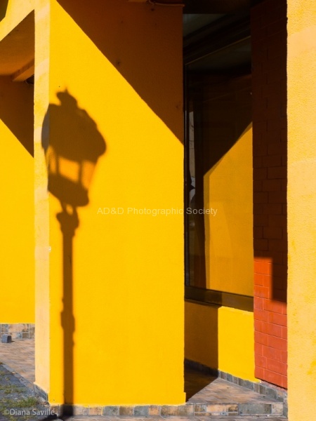 Yellow Light, by Diana Saville