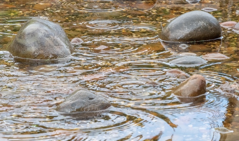 Raindrops, by Lindsey Smith