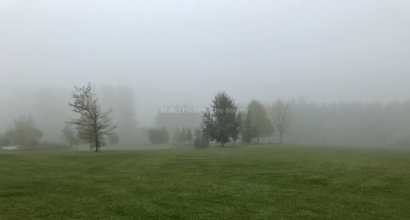 Misty Morning, by Neil Grantham
