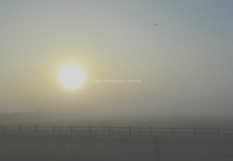 Misty morning, by Miggy Wild