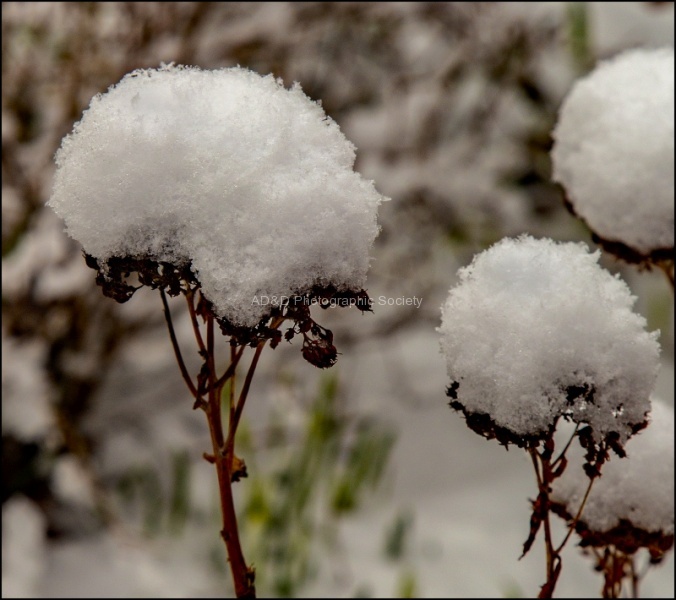 Late snowfall, by Paul Brewerton