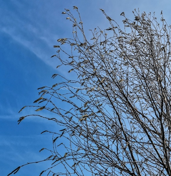 Weather 2, by Wendy Meagher