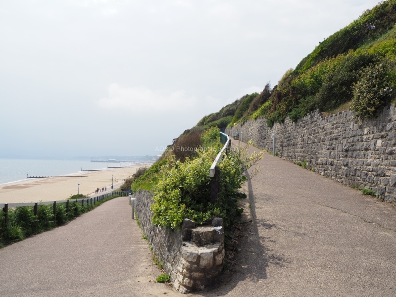 Incline to Beach, by Beckie Lewis