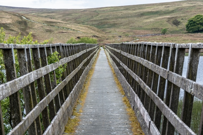 Steps 03, by Richard Broadbent