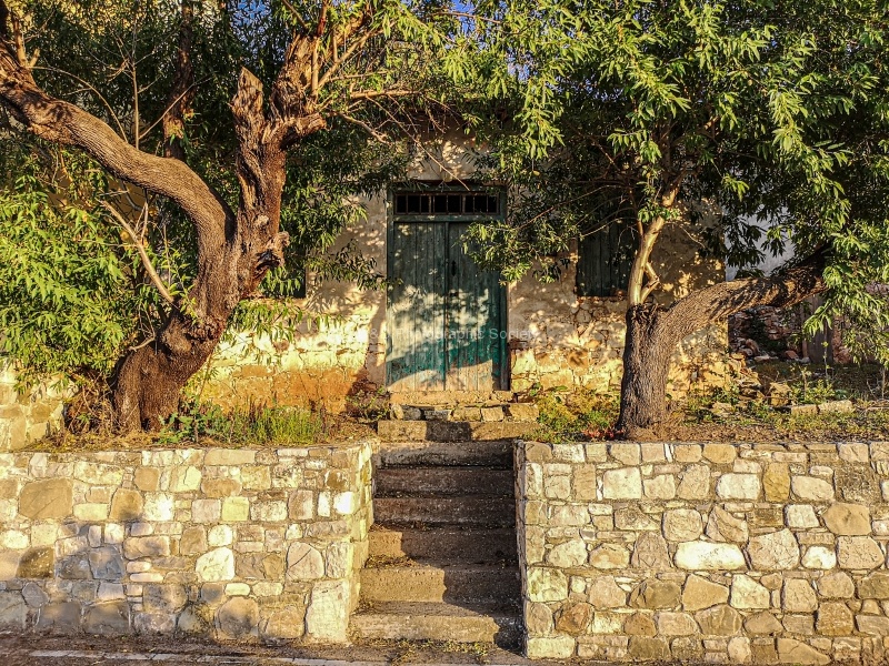 Village steps, by Wendy Meager