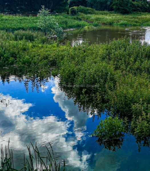 Wendy Meagher - Clifton fields in flood