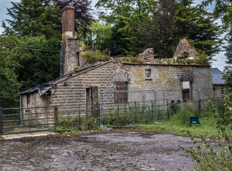 Martyn Pearse - Cottage, Blenheim