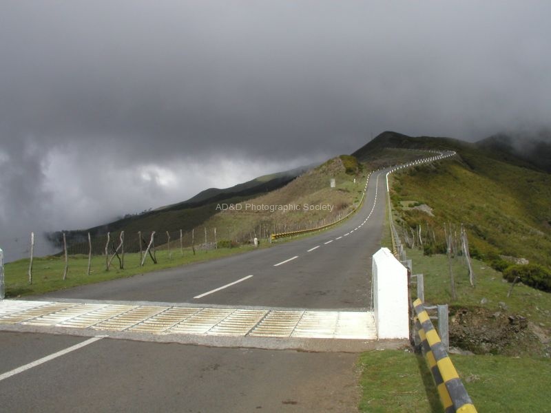 Into the mist JP
