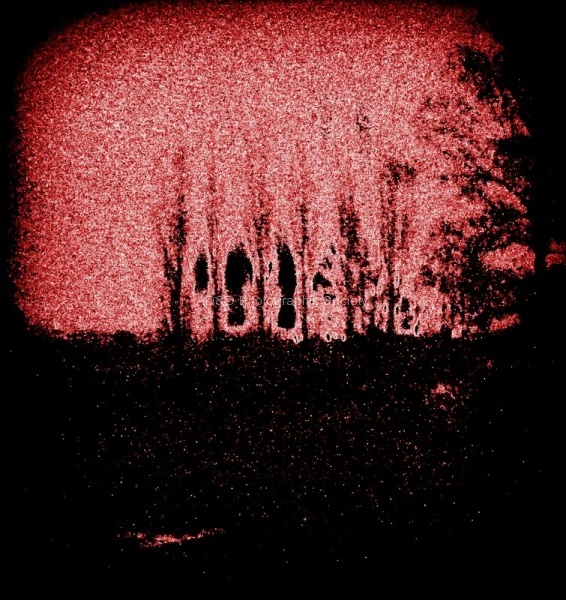 John P red