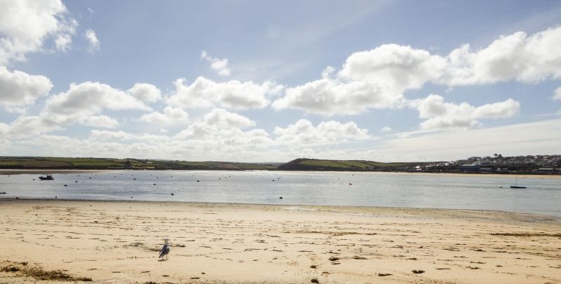 John P Sea