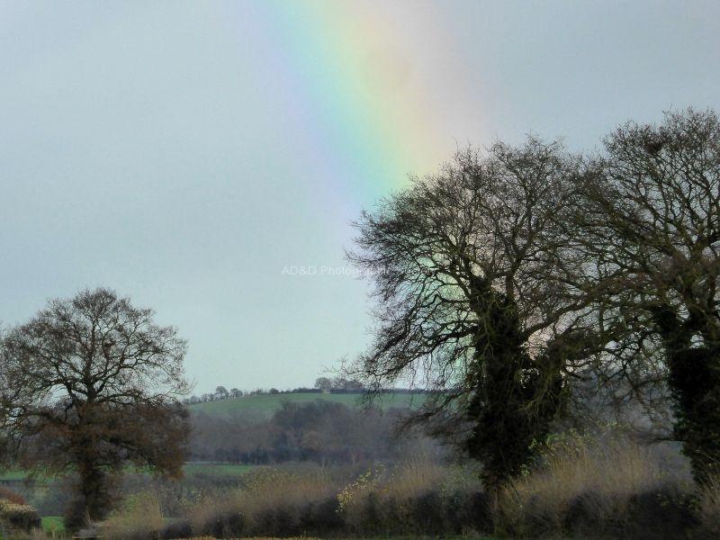 JohnP 1Rainbow