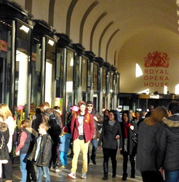 Shopping 14 JP5