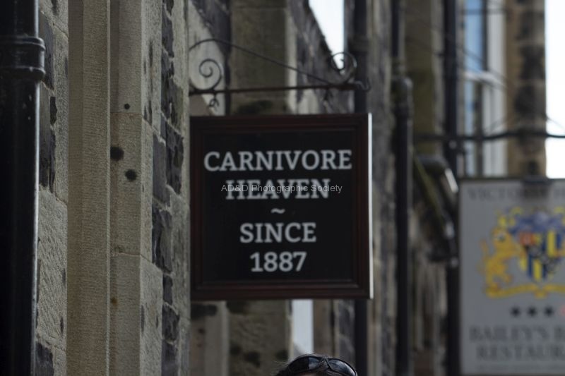 Meriel Flux - carnivore heaven