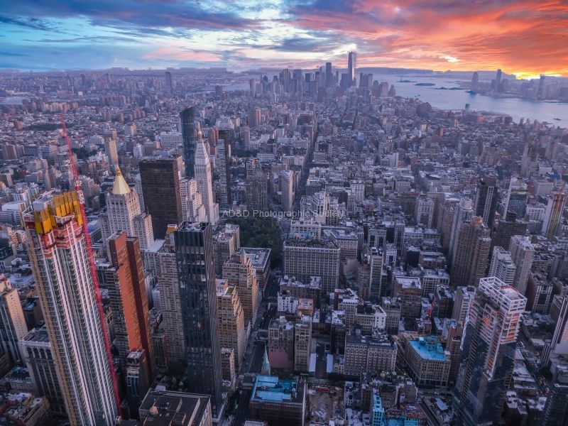 Miggy Wild - New York