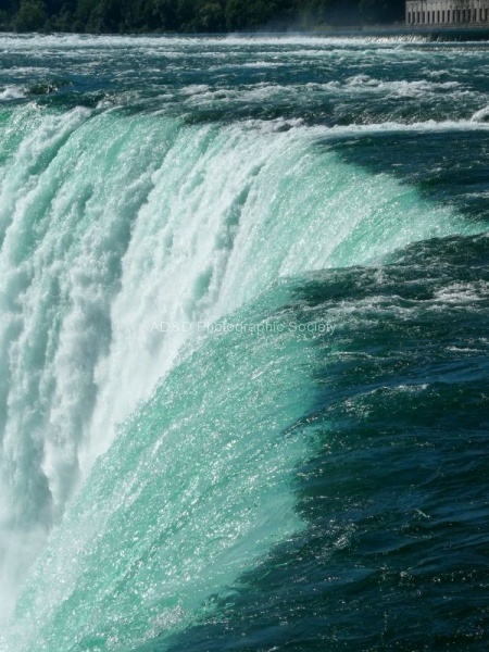 Miggy Wild - Niagara
