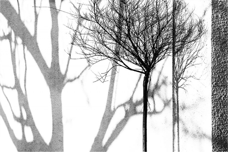 Andreas Klatt - Shadows 1