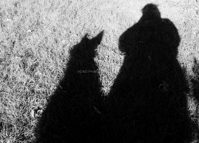 Meriel Flux - liquorish and I