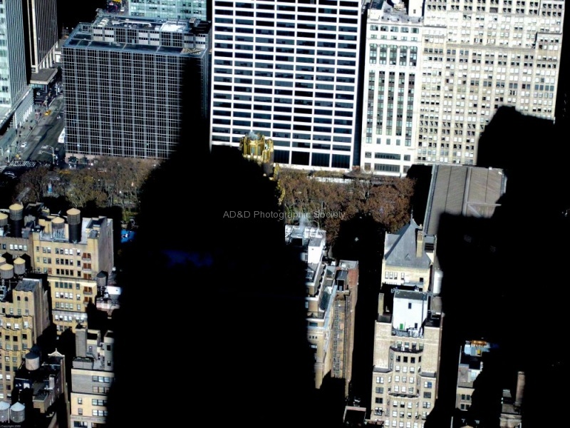 Meriel Flux - NY