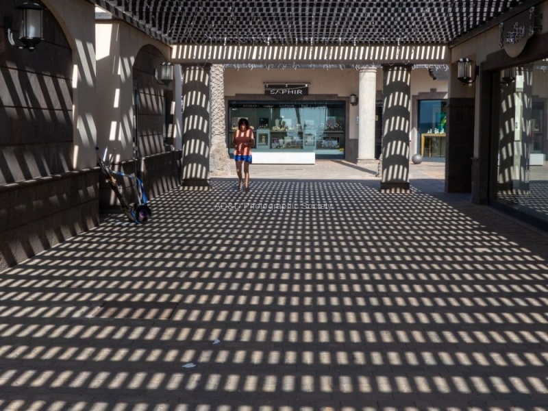 Roy Dickson - Lattice shop