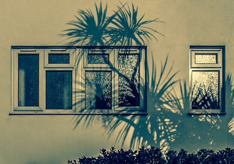 Wendy Meagher - Sandbanks, Dorset, Curve - cross p