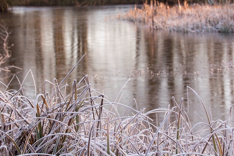 Colin 1 - Frosty Lakeside.jpg